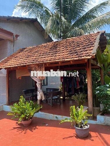 Eaning Cukuin Nhà Vườn 2900m2 tc400 2 tỷ 600 triệu nhà mới view hồ