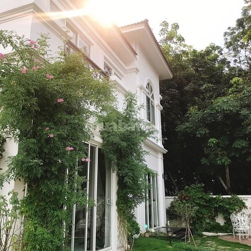 Bán biệt thự sân vườn 1905,5m ngay Tp Tân Uyên TPHCM 