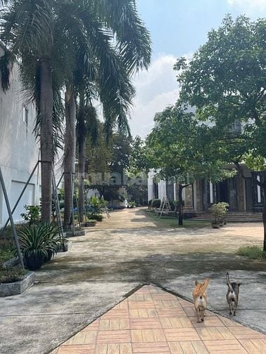 Bán biệt thự sân vườn 1905,5m ngay Tp Tân Uyên TPHCM 