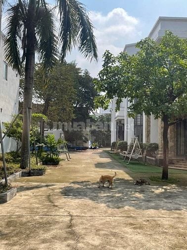 Bán biệt thự sân vườn 1905,5m ngay Tp Tân Uyên TPHCM 