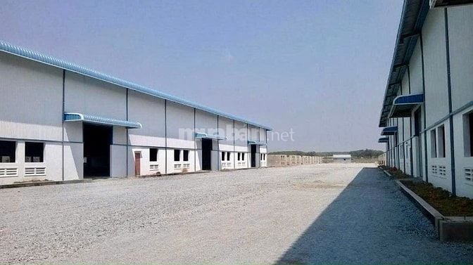 KẸT TIỀN BÁN 225M2 ĐẤT T.CƯ MT ĐƯỜNG NHỰA SÁT CHỢ, TR.HỌC. GIÁ 165TR