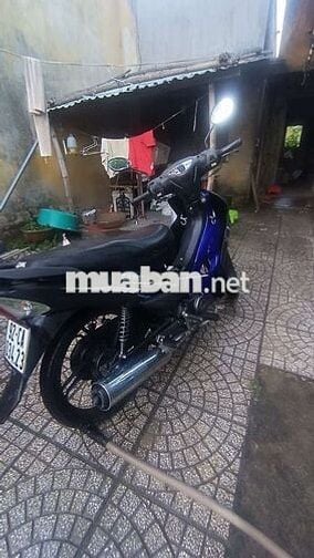 SYM Elegant 50 2023 Xanh