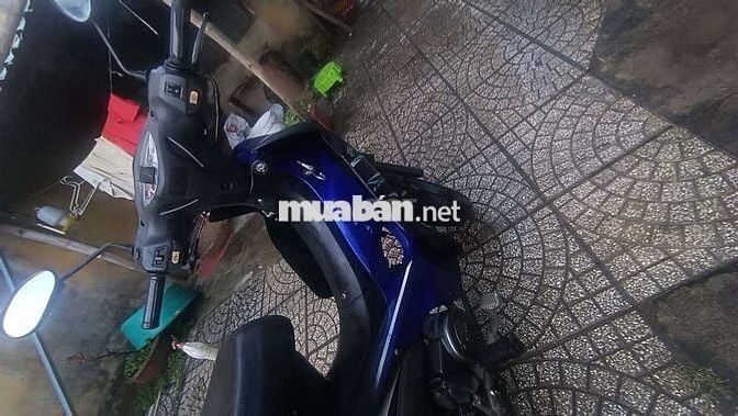 SYM Elegant 50 2023 Xanh