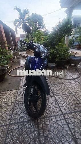 SYM Elegant 50 2023 Xanh
