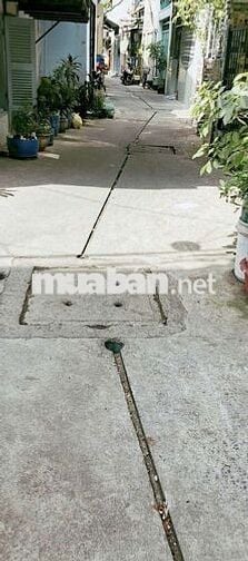 NHÀ LÊ THỊ BẠCH CÁT Q.11 - 3 TẦNG BTCT - HOÀN CÔNG ĐỦ