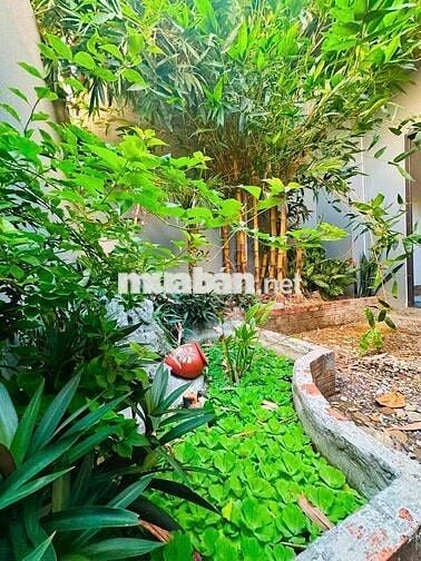 NHÀ KIỆT NGUYỄN HUY TƯỞNG - LIÊN CHIỂU 2 TẦNG XINH XẮN CÓ SÂN VƯ
