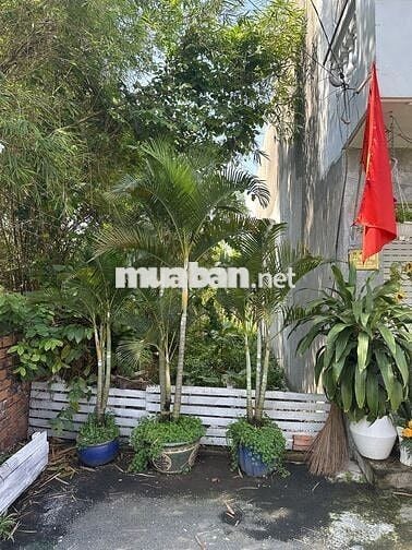 Bán đất 2/43/15 Tô Ngọc Vân, Gò Vấp, 56.8m² nở hậu 4.86m - 3.2 tỷ (TL)
