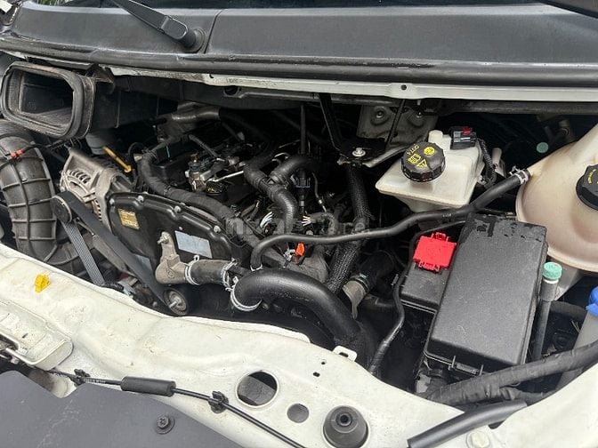 Cần Bán xe tải van, hiệu Ford Transit, đời cuối 2022 màu Tr