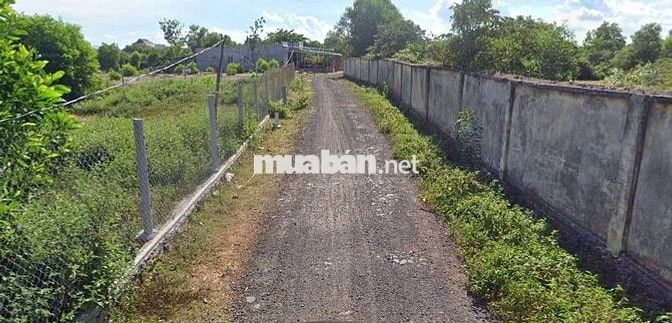 Bán đất 3377m² ngang 66m giá 128.5tỷ Xã Hồ Tràm Xuyên mộc