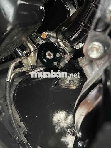 2c janus bs65 zin đẹp
