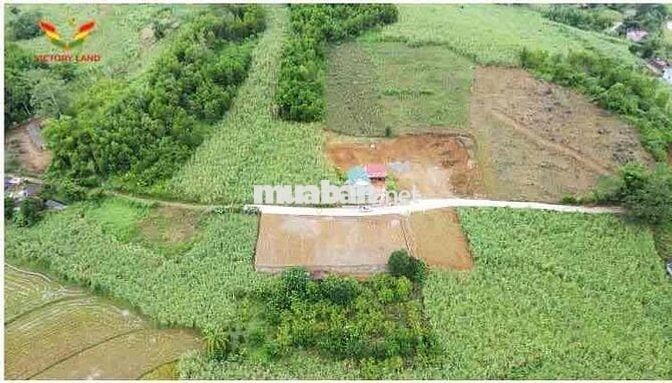 Đất thổ cư Thạch Cẩm Thạch Thành chỉ từ 195tr/lô sát đường mòn HCM