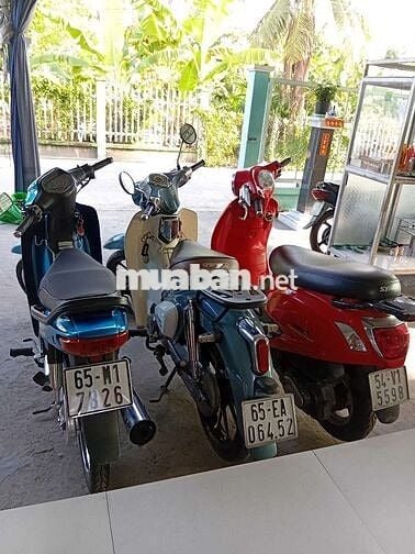Honda Wave TQ 110 Xanh Đầy đủ
