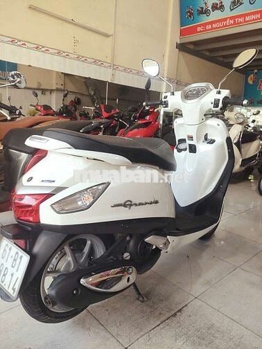 Yamaha Grande Trắng
