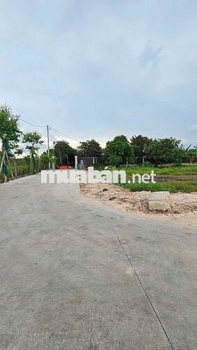 ĐẤT SHR SIÊU ĐẸP - 86m2 - ĐƯỜNG XE TẢI - XUÂN THỚI SƠN CŨ