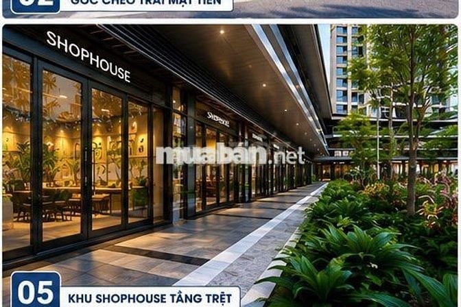 CHO THUÊ CĂN HỘ SỐ TẦNG PHÁT TÀI PHÁT LỘC VIEW ĐẸP THOÁNG MÁT