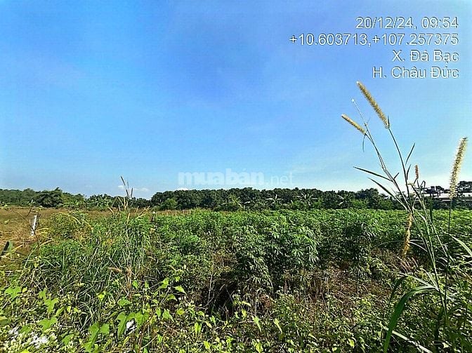 Công ty Đấu giá hợp danh Lam Sơn Sài Gòn thông báo đấu giá tài sản
