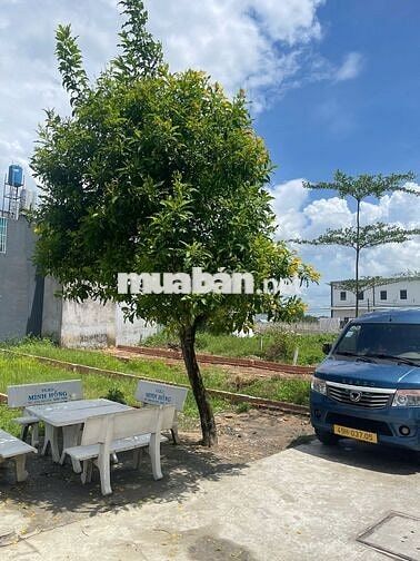 BÁN GẤP LÔ ĐẤT CHỢ NHỊ XUÂN, HÓC MÔN 445TR 80M2