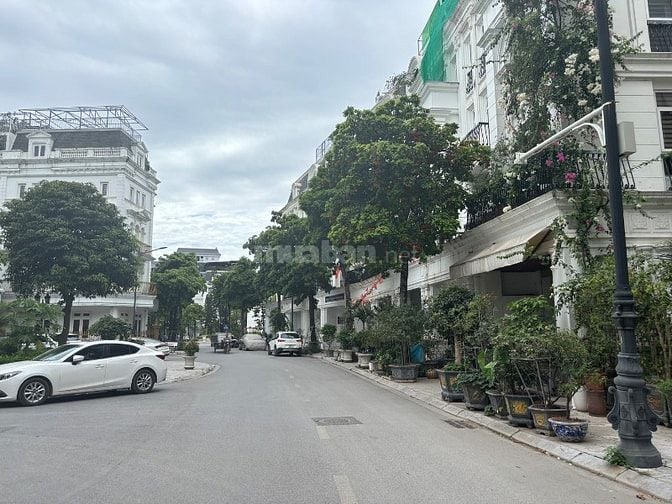 🔥 ĐẠI MỖ KHÓ TÌM ĐƯỢC CĂN THỨ HAI ĐẸP NHƯ THẾ NÀY!