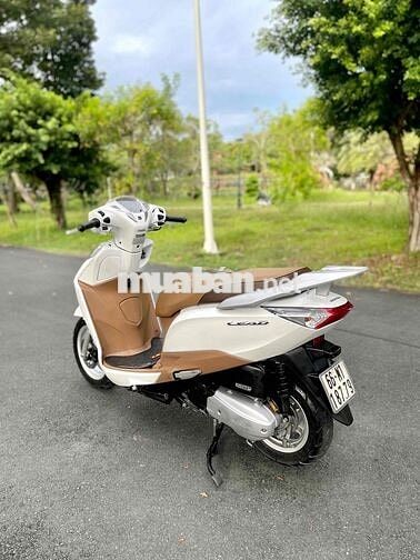 Honda Lead Trắng