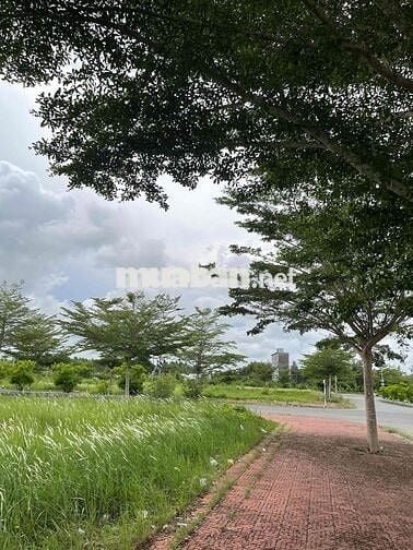 Nếu là bạn, có xuống tiền dự án này không?