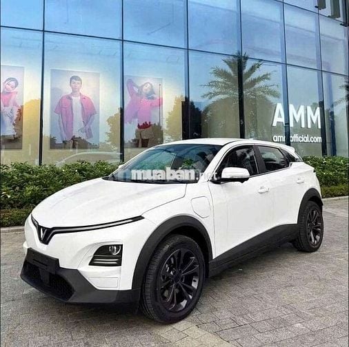 VinFast VF6 ECO 2026 Trắng Điện