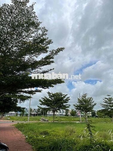Nếu là bạn, có xuống tiền dự án này không?