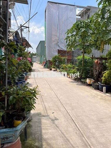 CẦN BÁN NHÀ GẤP Q12 AN PHÚ ĐÔNG