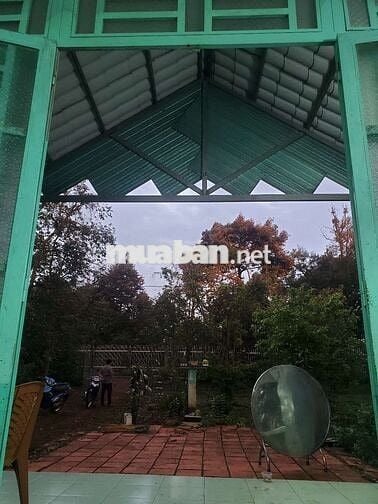 Bán 1000m2 đất vườn khu biệt thự