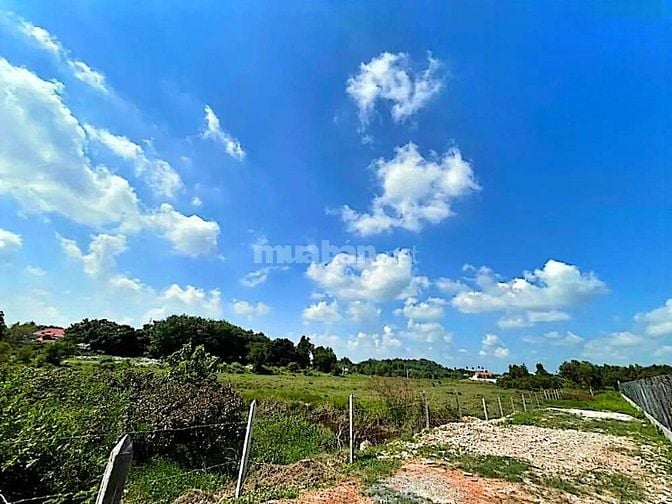 Công ty Đấu giá hợp danh Lam Sơn Sài Gòn thông báo đấu giá tài sản