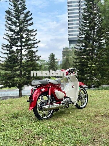 Honda Super Cub C125
