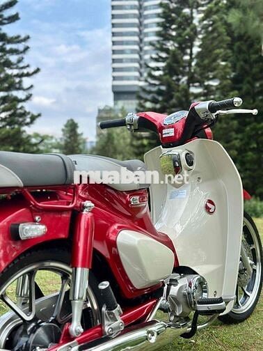Honda Super Cub C125