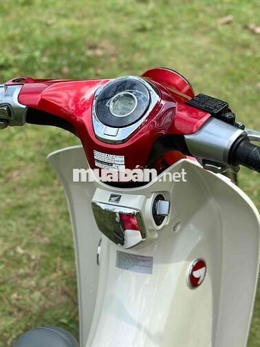 Honda Super Cub C125