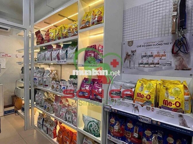 Tuyển lễ tân phòng khám thú y