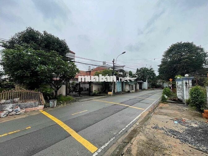 Đất 5x33m, Shr, Mt Đg Tân Hiệp 8-1 Cách Dương Công Khi 50m