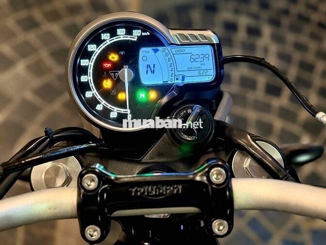 Triumph Speed 400 2024