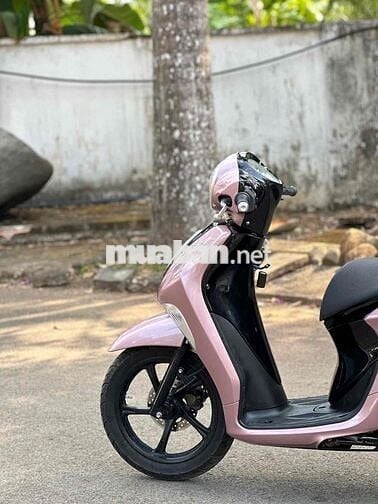 Yamaha Janus 2017 Hồng