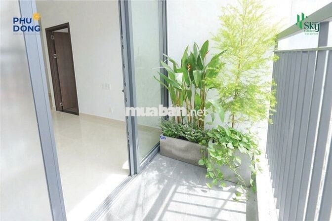 CẦN BÁN NHANH PHÚ ĐÔNG SKY GARDEN 2PN TẦNG CAO – SỔ HỒNG TRAO TAY
