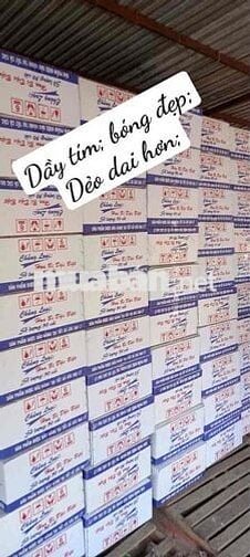 Cần tuyển 5 công nhân làm việc tại Gò Vấp, Tphcm