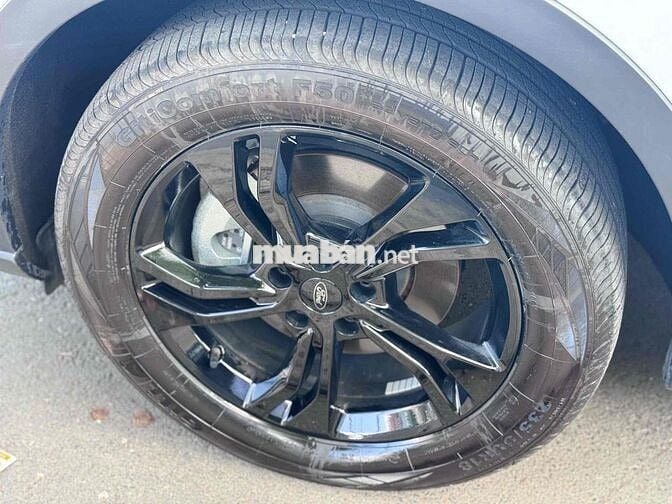 Ford Territory Sport 2024 Sport Trắng 19.000 km