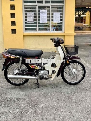 Honda SanndaBoss Nâu, Trắng