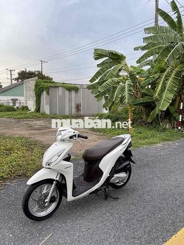 Cần Bán Vision zin chất đẹp keng chính chủ kí gấy