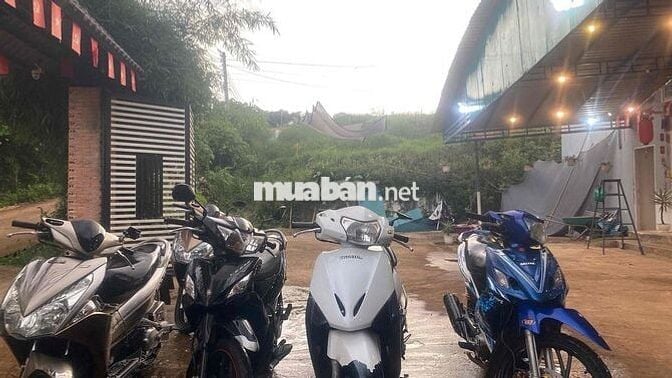 Honda Air Blade Vàng đồng