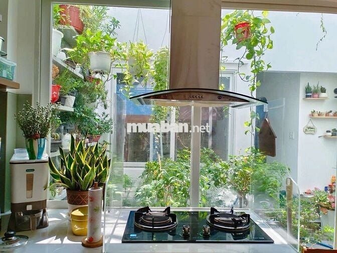 Bán Biệt thự sân vườn mini ngay Bình Tân 