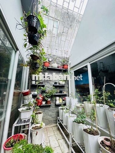 Bán Biệt thự sân vườn mini ngay Bình Tân 