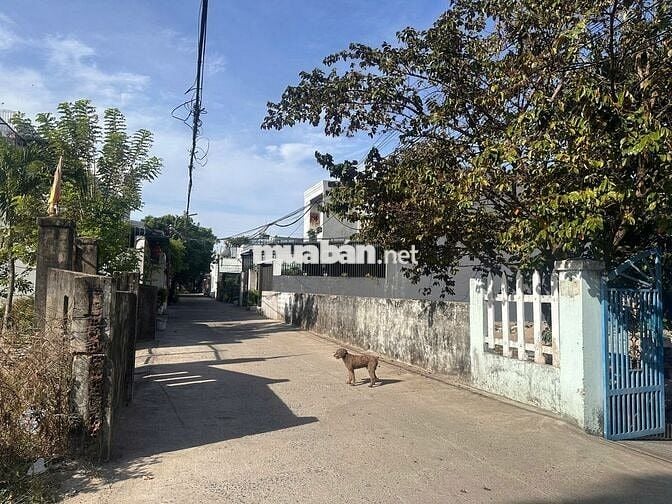 Bán Nhà đường Bình Kỳ - Ngũ Hành Sơn - Cách Nam Hoà Xuân 1km