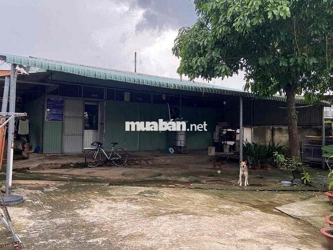 đất ở trung tâm thành phố đồng nai mới