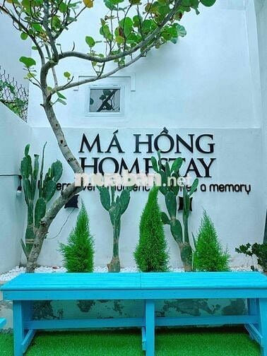 Tìm chủ mới cho căn Homestay khu du lịch Kỳ Co - Eo Gió - Nhơn Lý