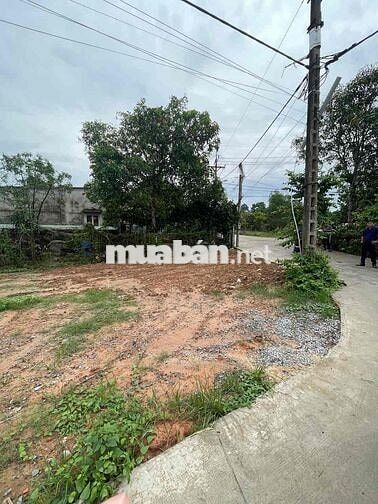 Bán đất xã Tân An Hội, kế bên Sư Đoàn 9, full thổ cư, giá 1 tỷ 190