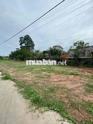 Bán đất xã Tân An Hội, kế bên Sư Đoàn 9, full thổ cư, giá 1 tỷ 190