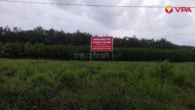 Thông báo đấu giá tài sản của bà Lê Thị Trang (Đồng Nai)
